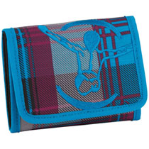 Chiemsee Wallet Checker