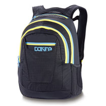 Dakine Element Microlink