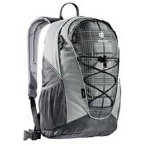 deuter Gogo Ash Check