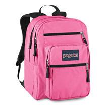Jansport Big Student Pink Poodle