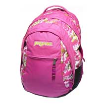 Jansport Beamer Pink Breakdance