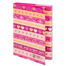 McNeill Heftbox A4 Birdy