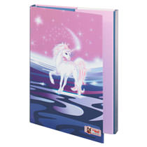 McNeill Heftbox A4 Chip Rosa