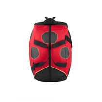 Samsonite Duffle 46 cm Marienkäfer